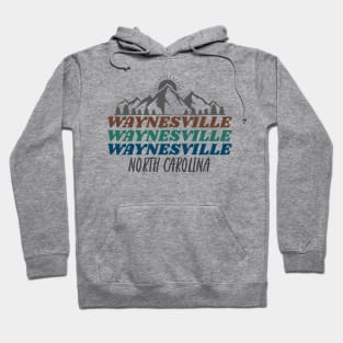 Waynesville, North Carolina Hoodie